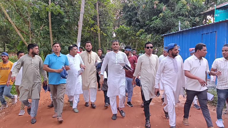 নলুয়ায় বিএনপির উদ্যোগে বিপ্লব ও সংহতি দিবস পালিত