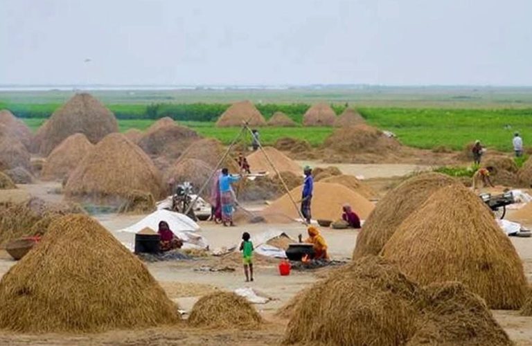 খাদ্য উৎপাদনে ‘বড় ঝুঁকি’র মুখে বাংলাদেশ