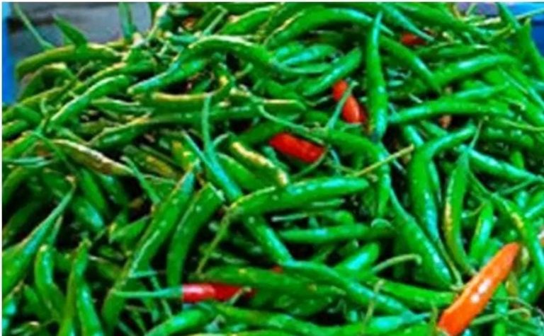 ভারত থেকে এল ১০০ টন কাঁচা মরিচ,  দাম কমার আশা