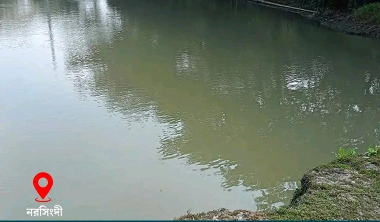 নরসিংদীতে বাড়ির পাশের গর্তের পানিতে ডুবে দুই ভাইয়ের মর্মান্তিক মৃত্যু